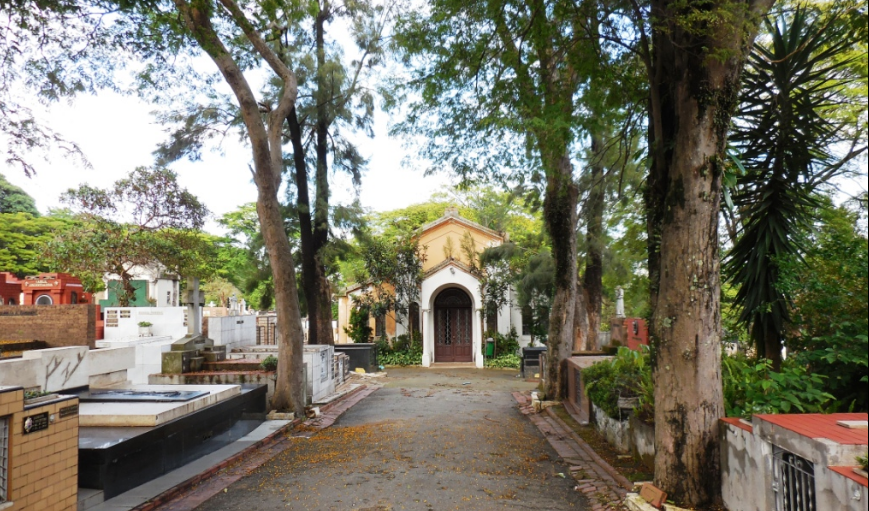 floricultura cemiterio da lapa